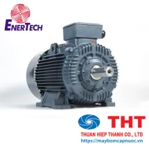 Động cơ vỏ gang 3 pha chân đế/mặt bích Enertech serie ESC 1-3 HP
