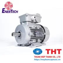 Động cơ vỏ nhôm 1 pha chân đế/mặt bích Enertech serie ESS