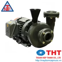 Máy bơm ly tâm dạng xoáy đầu gang NTP series HVP